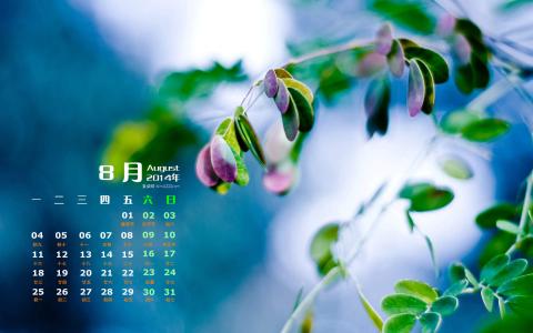 图片 _ 第(4)张