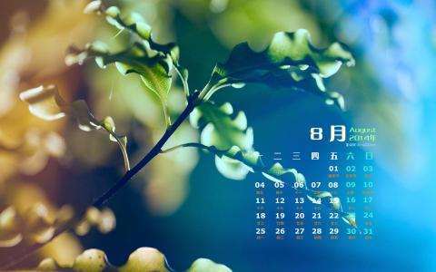 2014年8月日历图片 _ 第(6)张