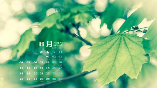 图片 _ 第(2)张