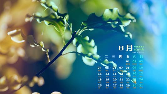 2014年8月日历图片 _ 第(6)张