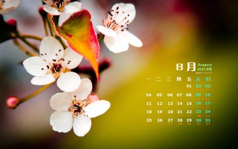 2014年8月日历图片 _ 第(6)张