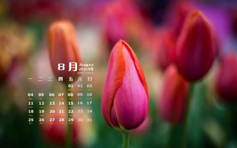 图片 _ 第(3)张