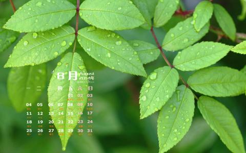 2014年8月日历图片 _ 第(4)张