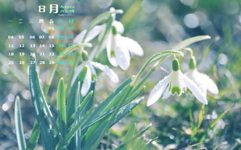2014年8月日历图片 _ 第(1)张