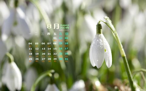 2014年8月日历图片 _ 第(2)张