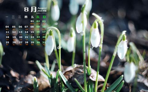 2014年8月日历图片 _ 第(3)张