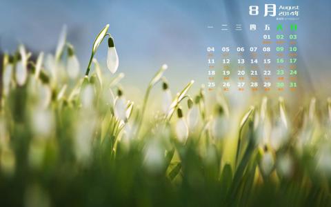 2014年8月日历图片 _ 第(4)张