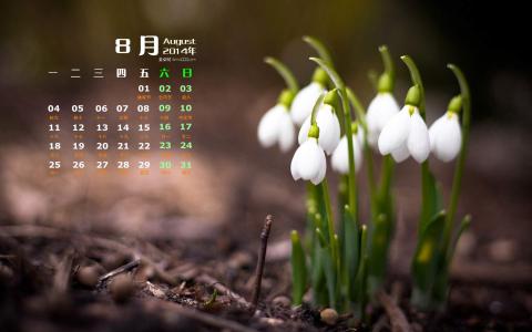 2014年8月日历图片 _ 第(6)张
