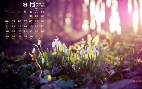 2014年8月日历图片 _ 第(7)张