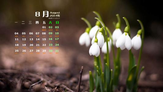 2014年8月日历图片 _ 第(6)张