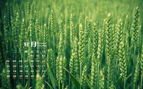 2014年8月日历图片 _ 第(6)张