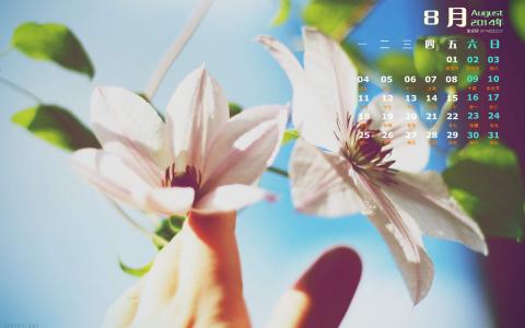 图片 _ 第(2)张
