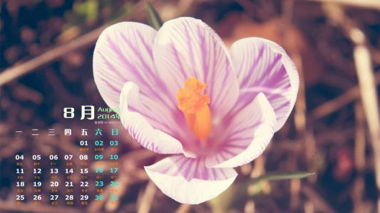 2014年8月日历图片 _ 第(3)张