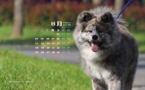 第3张