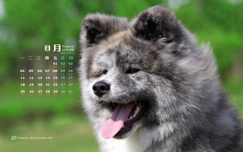 2014年8月日历图片 _ 第(6)张