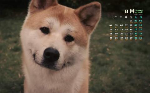 2014年8月日历图片 _ 第(7)张