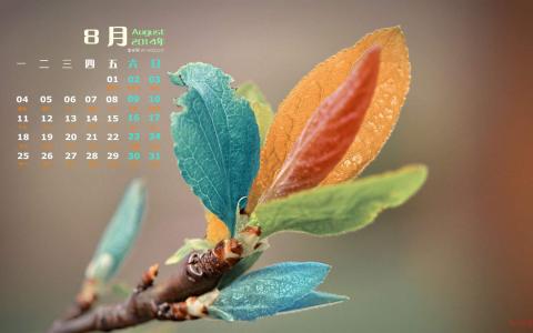 2014年8月日历图片 _ 第(1)张