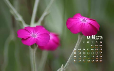 图片 _ 第(3)张