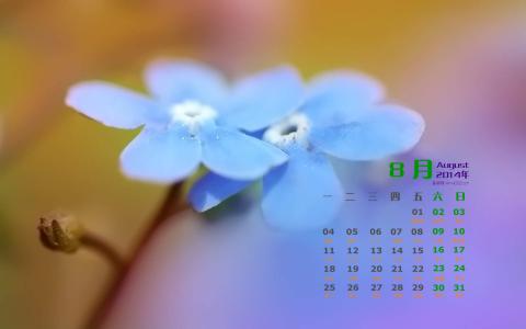 图片 _ 第(2)张