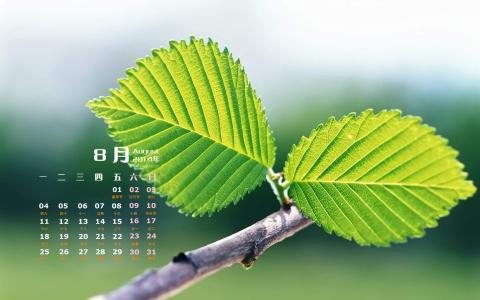 图片 _ 第(5)张