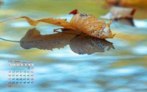 2014年8月日历图片 _ 第(6)张