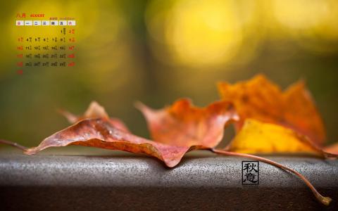 2014年8月日历图片 _ 第(7)张