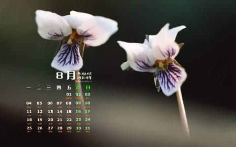 图片 _ 第(1)张
