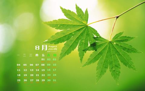 图片 _ 第(2)张