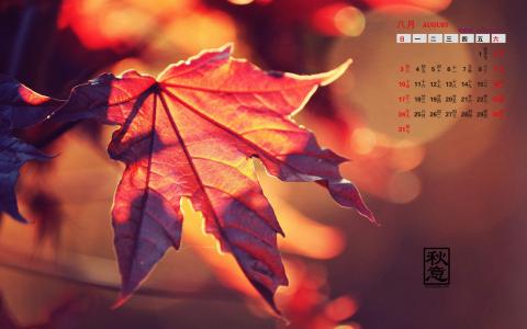 2014年8月日历图片 _ 第(6)张