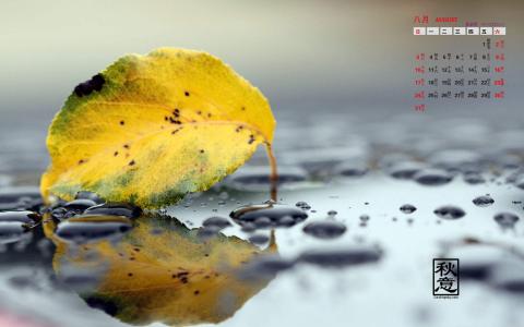 图片 _ 第(3)张