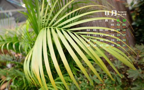 图片 _ 第(4)张