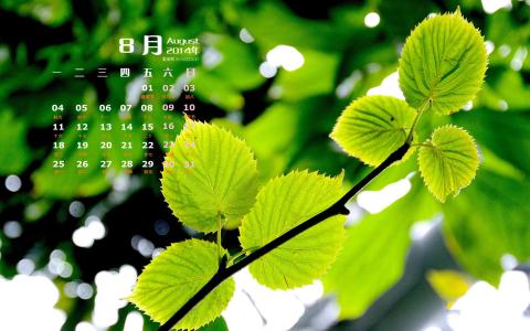 2014年8月日历图片 _ 第(6)张