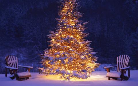 下雪第6张