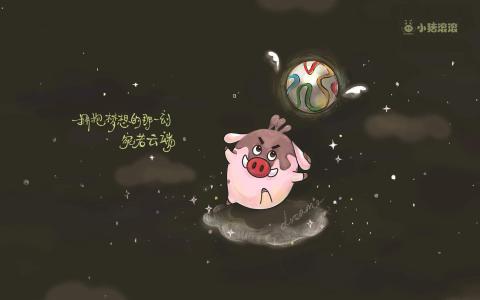 第0张