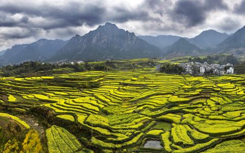 田园风光图片 _ 第(1)张