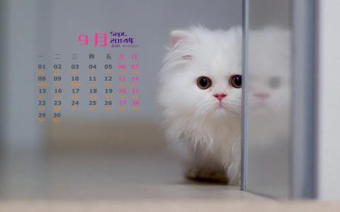 第1张