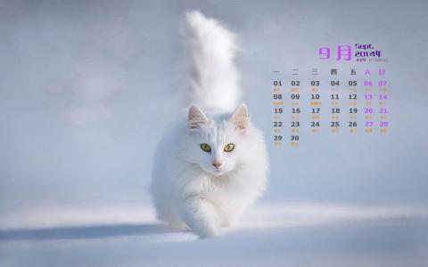 第3张