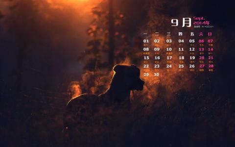 超萌的可爱调皮小动物图片桌面壁纸高清  第二辑第1张