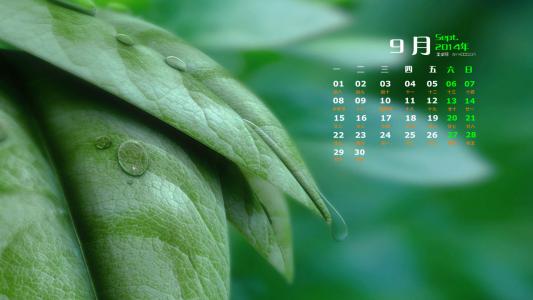 2014年9月日历壁纸微距树叶唯美摄影图片合集第一辑第3张