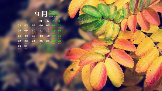 生机盎然的绿色叶子护眼图片桌面壁纸第0张