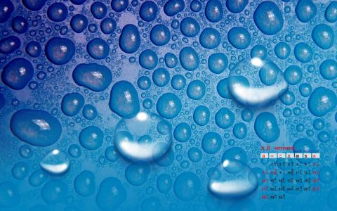 高清雨水2022年7月日历护眼桌面壁纸清新养眼的绿色水滴第0张