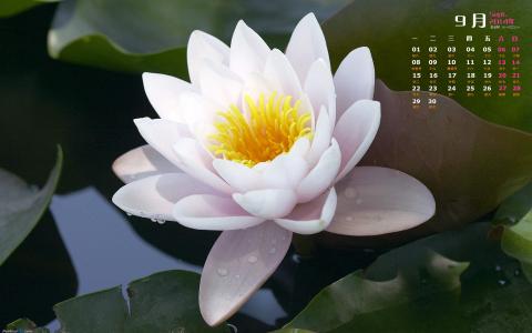 图片 _ 第(5)张