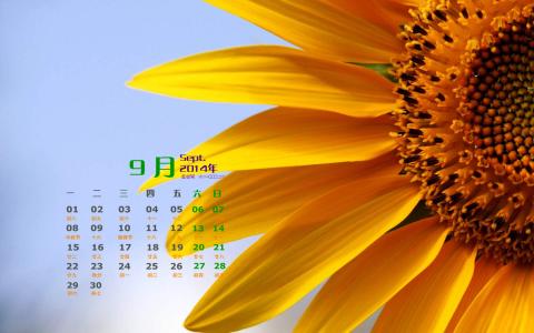 2014年9月日历壁纸秋天太阳下的美丽向日葵图片合集(二)第0张