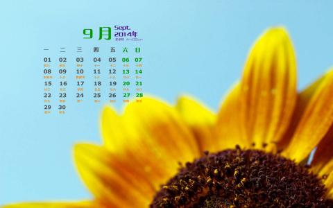 2014年9月日历壁纸秋天太阳下的美丽向日葵图片合集(二)第1张