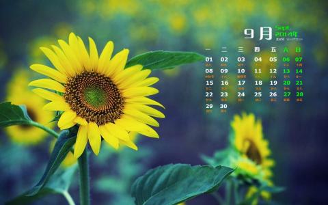 2014年9月日历壁纸秋天太阳下的美丽向日葵图片合集(二)第0张