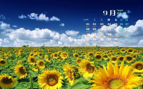 第3张