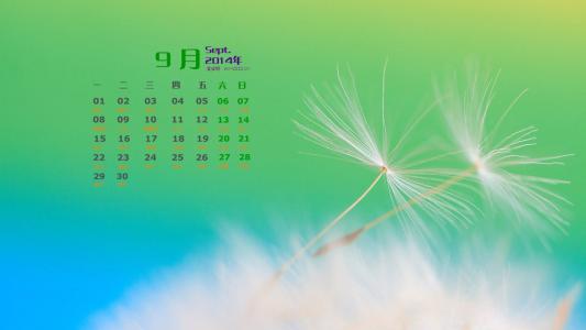 蒲公英小清新桌面壁纸下载第二辑第4张