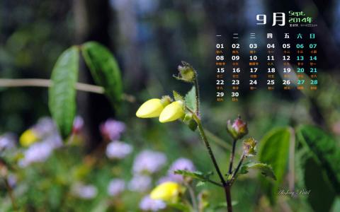 花园壁纸图片 _ 第(1)张