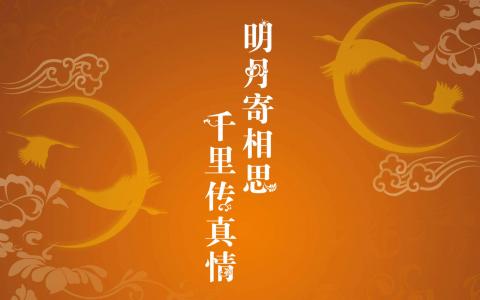 第3张