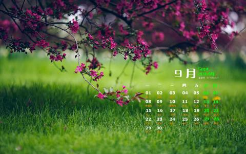 图片 _ 第(5)张